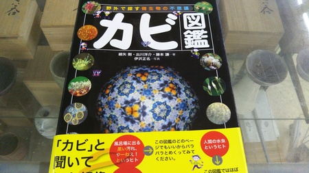 201804伊沢02.jpg